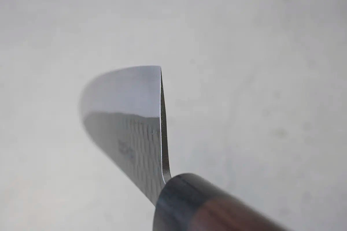 Ohishi Gyuto (Chefs Knife) Blue Steel #2, Kuro, 210mm
