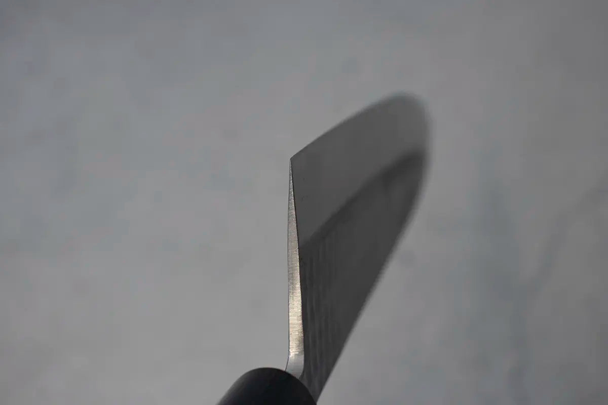 Ohishi Gyuto (Chefs Knife) Blue Steel #2, Kuro, 240mm