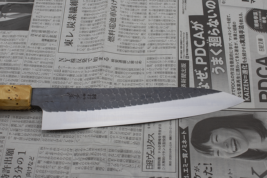 Ohishi x Brook Turner Gyuto (Chefs Knife) Blue Steel #2, 210mm No.5