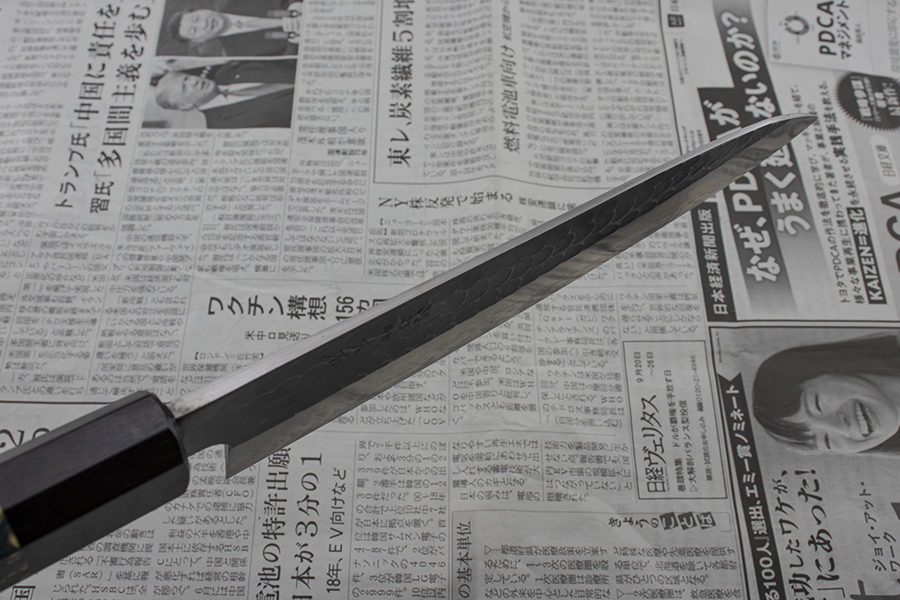Ohishi x Brook Turner Gyuto (Chefs Knife) Blue Steel #2, 210mm No.3