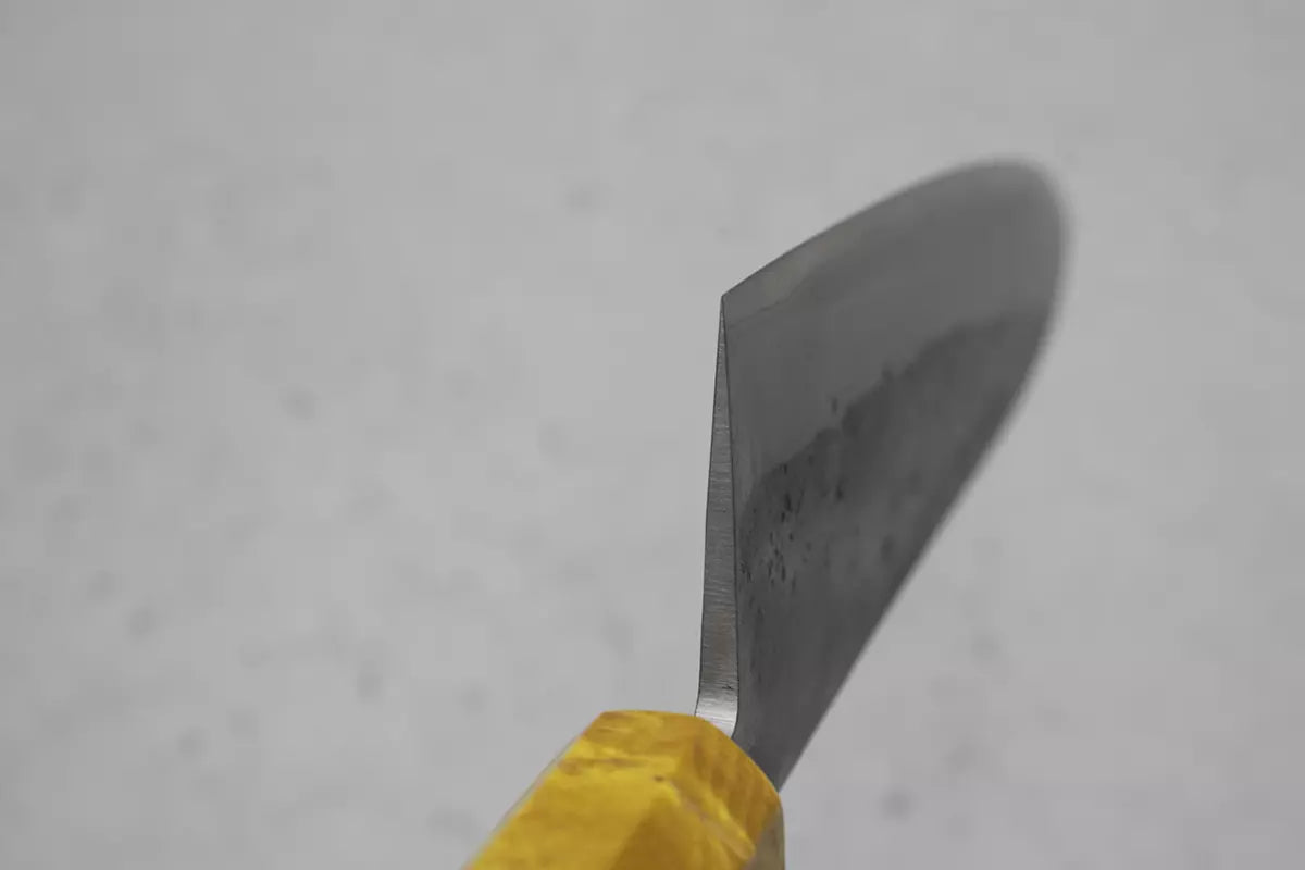Ohishi x Brook Turner Gyuto (Chefs Knife) Blue Steel #2, 210mm No.2 (2022 batch)