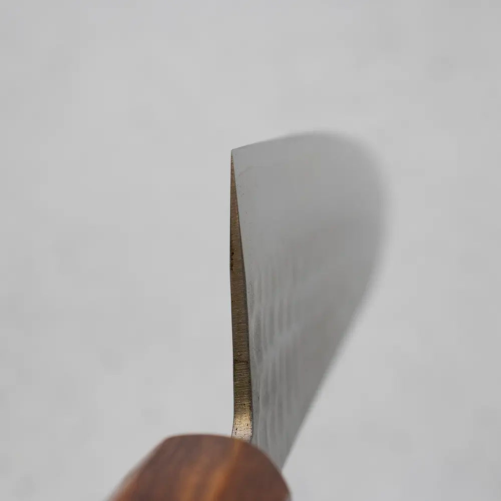 Ohishi x Brook Turner Gyuto 210mm SLD Steel | Arizona Ironwood Custom Japanese Knife