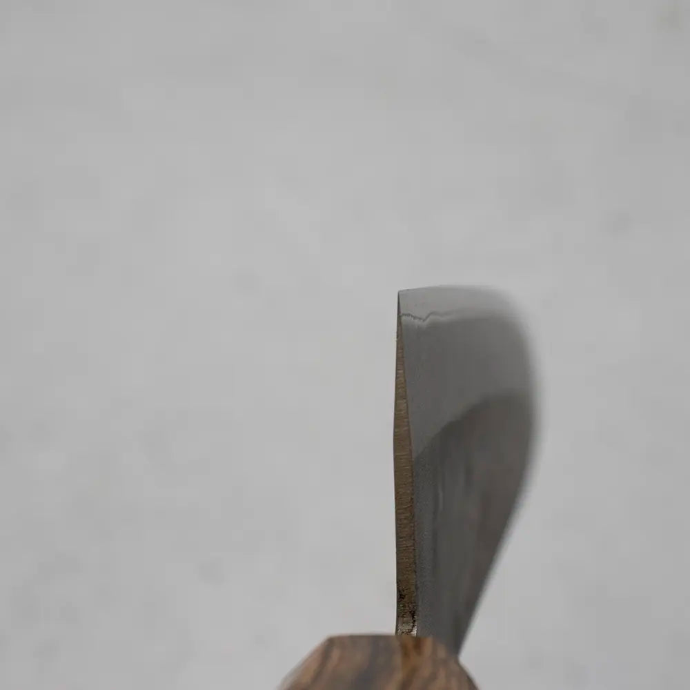Ohishi x Brook Turner Gyuto 210mm Blue Steel #2 | Bocote Custom Japanese Knife