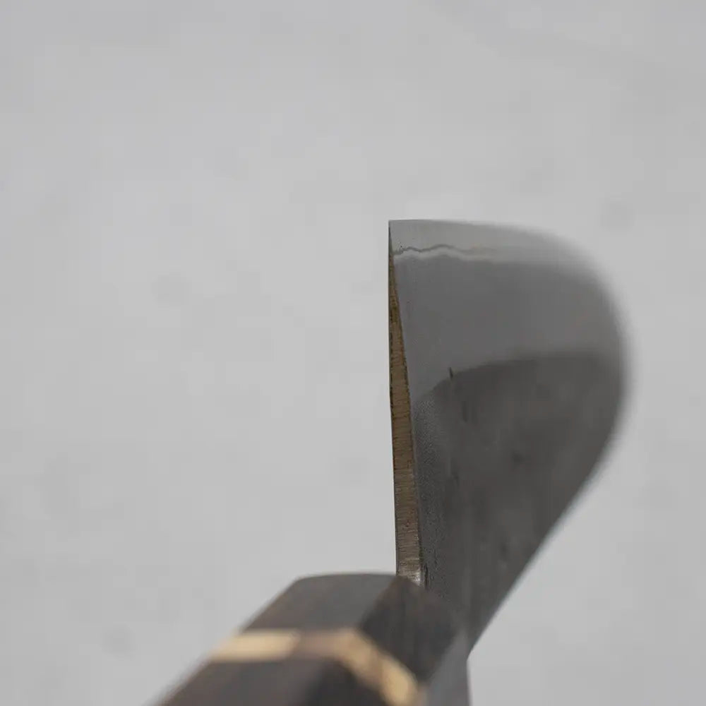 Ohishi x Brook Turner Gyuto 210mm Blue Steel #2 | Burmese Blackwood Custom Japanese Knife