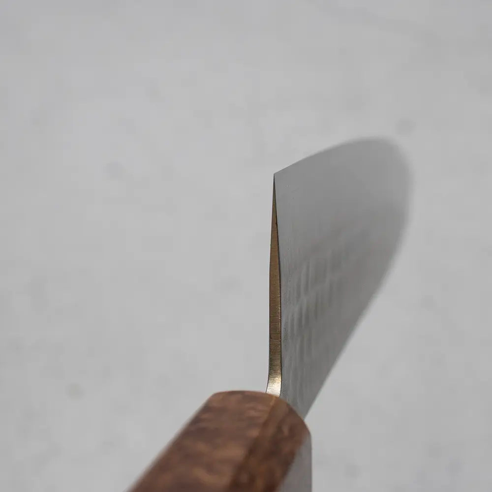 Ohishi x Brook Turner Gyuto 210mm SLD Steel | Redwood Burl Custom Japanese Knife