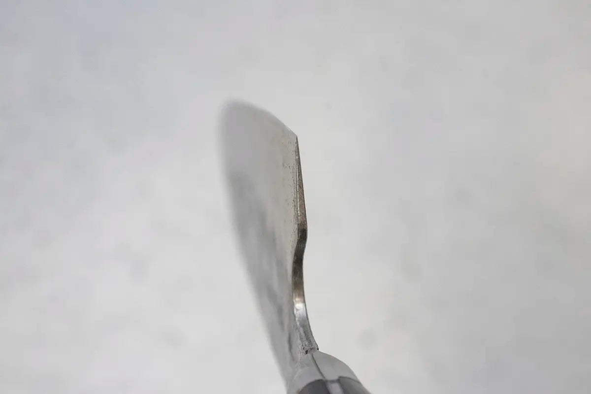 Fujiwara [Denka] Gyuto (Chef's Knife) 180mm - Western Handle