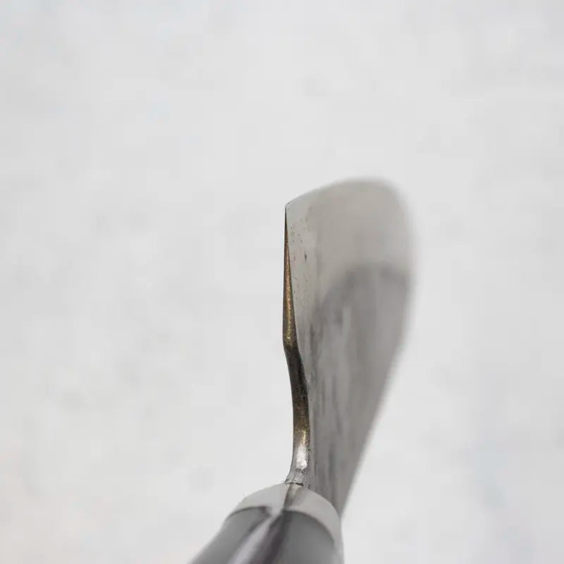 Fujiwara [Denka] Gyuto (Chef's Knife) 210mm - Western Handle