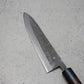 Ohishi Gyuto (Chefs Knife) Blue Steel #2, Nashiji, 210mm