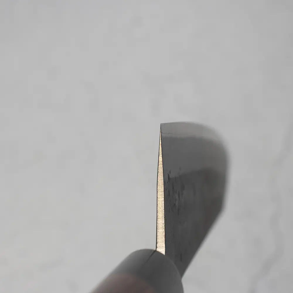 Ohishi Kiritsuke (Gyuto Hybird) Blue Steel #2, Nashiji, 210mm