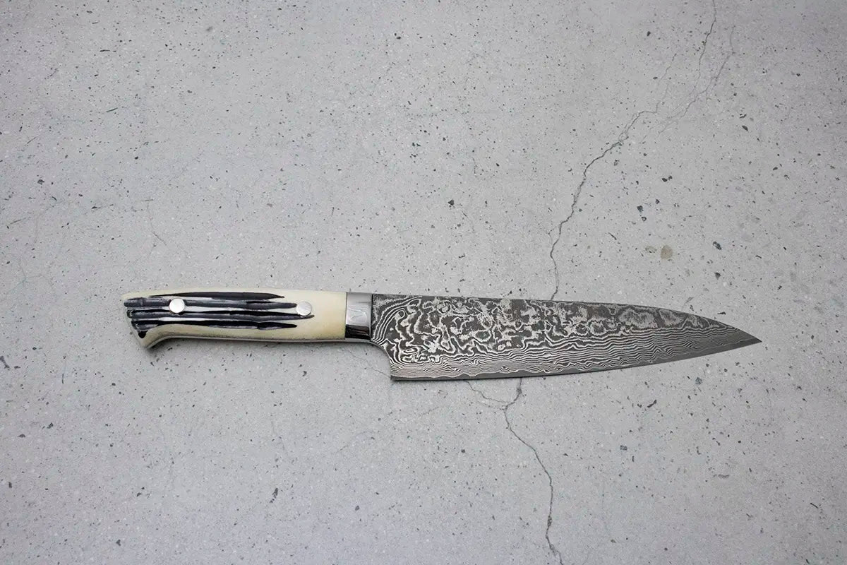 Takeshi Saji Gyuto (Chefs Knife) SG2 Damascus, White stag handle 180mm