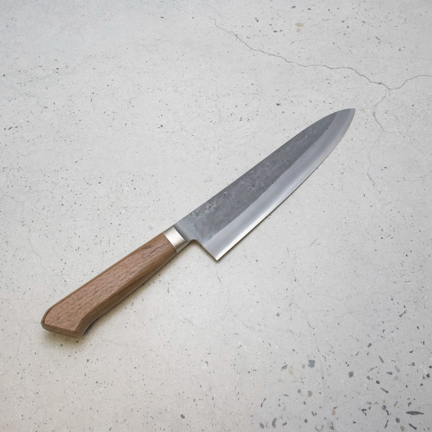 Tadafusa Gyuto (Chefs Knife) Blue Steel #2, 210mm