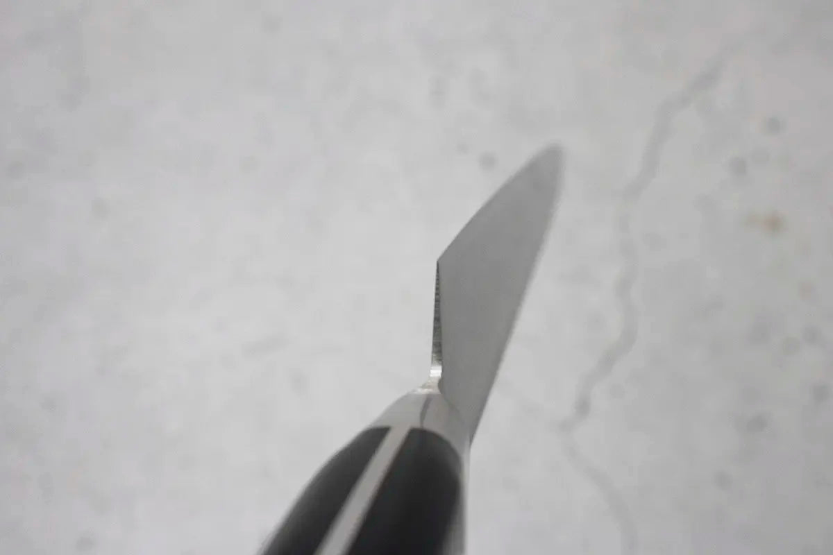 Tojiro Sujihiki (Carving Knife), 240mm DP3 series