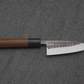 Ohishi Ajikiri (Fish Filleting Knife) Blue Steel #2, Kuro, 105mm