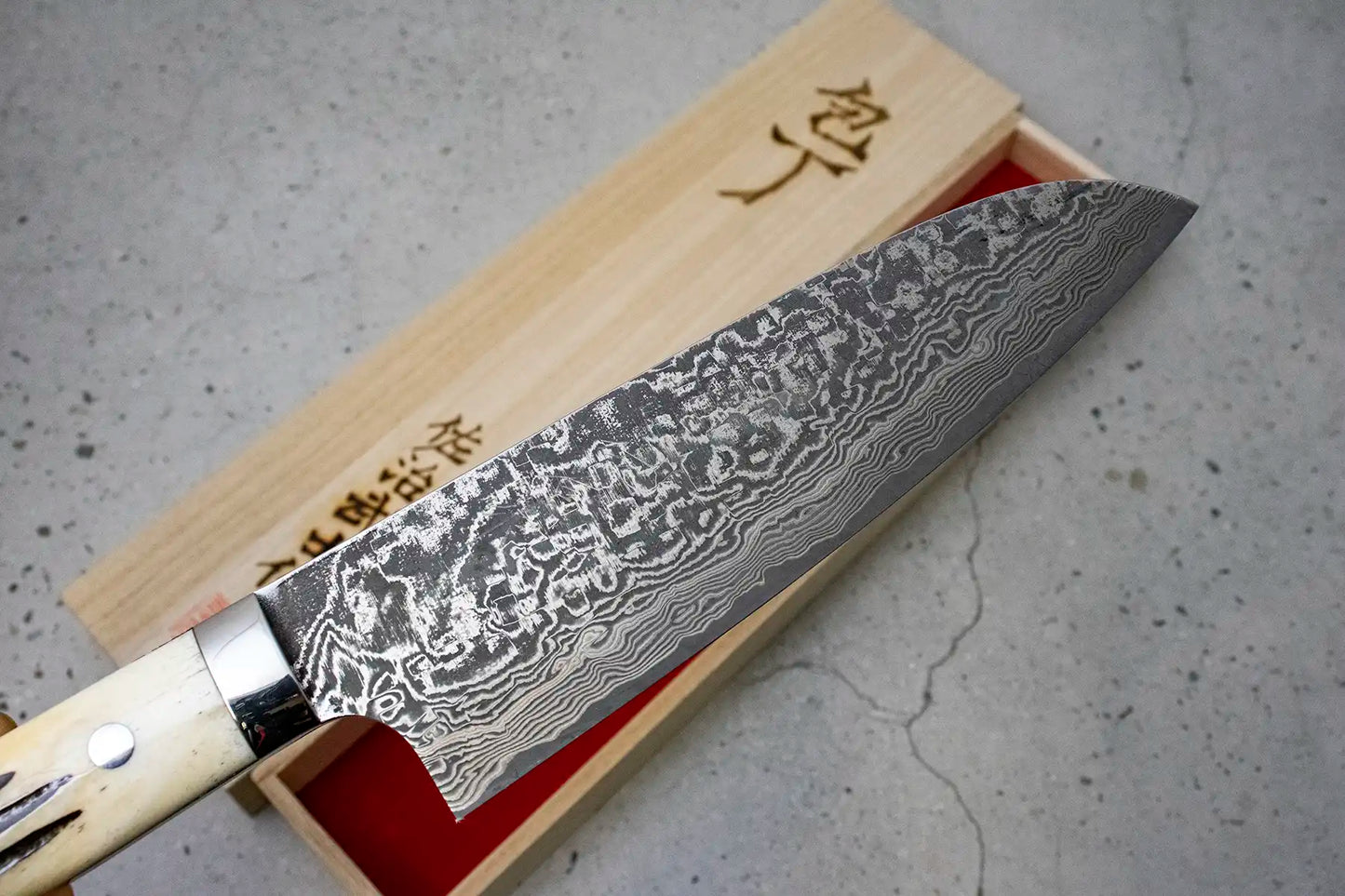 Takeshi Saji Santoku (All purpose Knife) SG2 Damascus, White stag handle 180mm